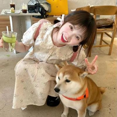 炸弹来了